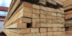 Hard Timber