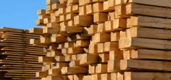 Soft Timber